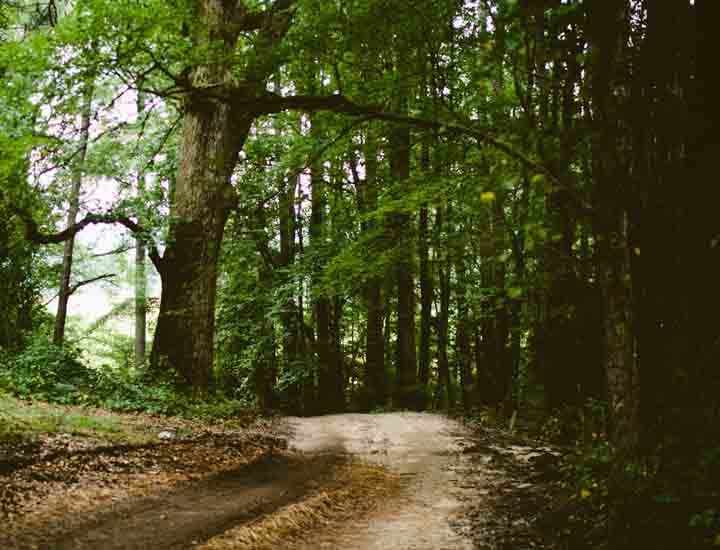 【在线云端版】即点即用的短信测压准确吗
