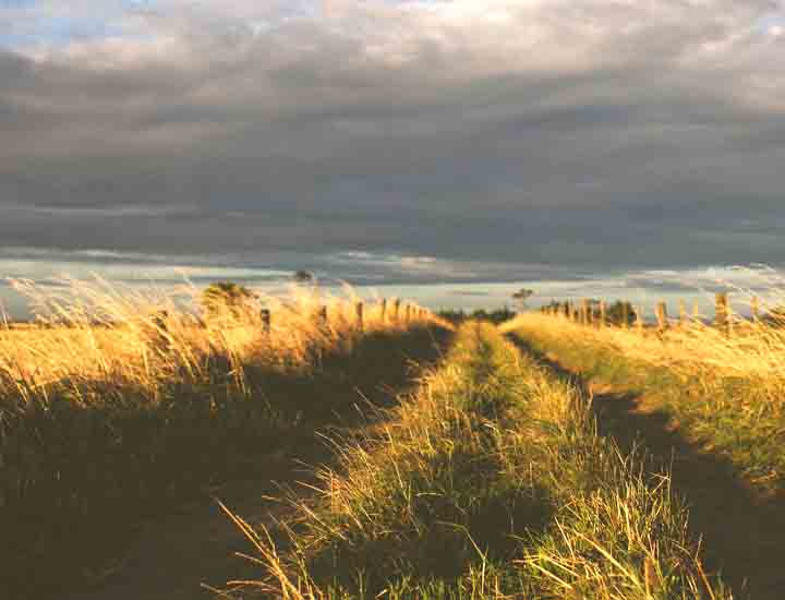 短信轰炸机在线网页版